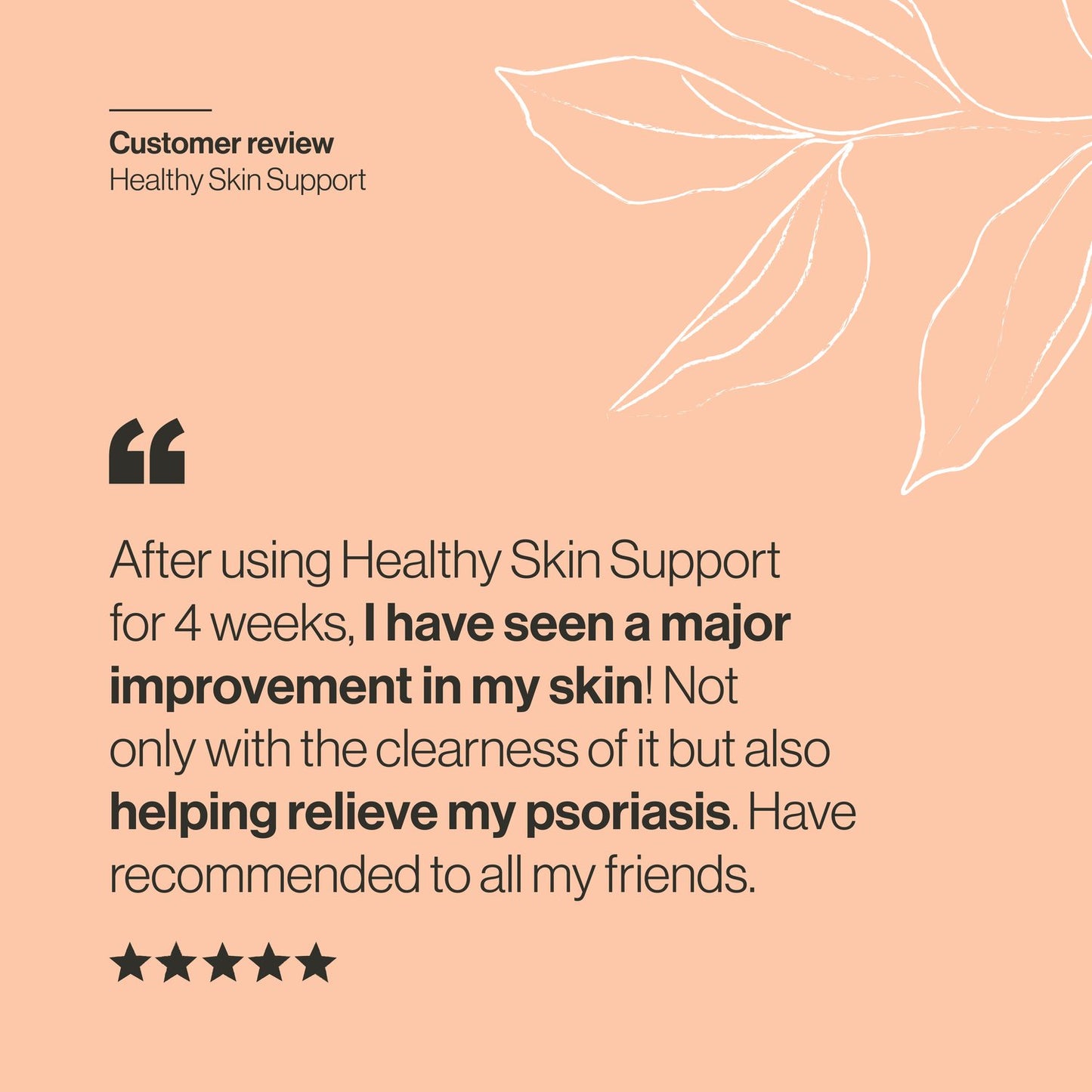 Whole Health Studio - Healthy Skin Support